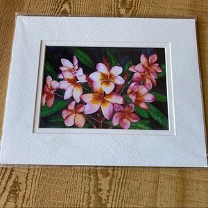 ๐HP๐ Pink Plumeria Artwork